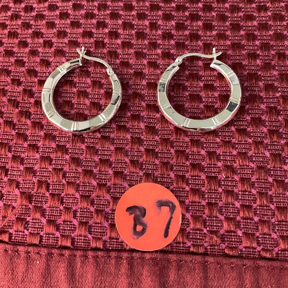 Elegant Sterling Silver Hoop Earrings